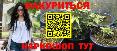 не бодяженный Краснодар