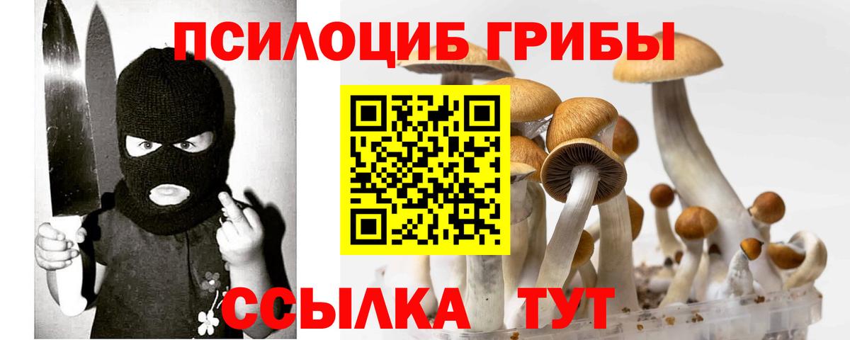 Галлюциногенные грибы прущие грибы  Вход с VPN  Псилоцибиновые грибы Psilocybe  Казань 